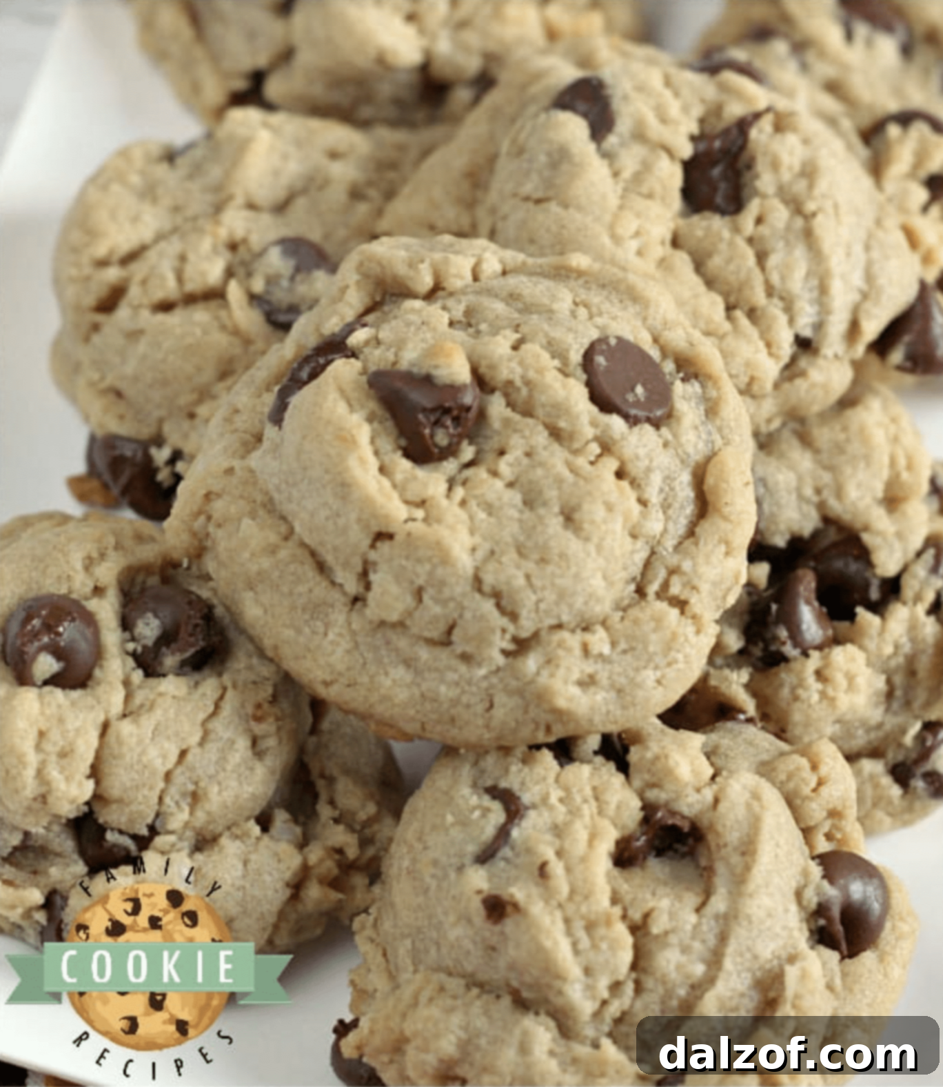 Irresistible Peanut Butter Cookies 4 Thick and chewy Peanut Butter Oatmeal Chocolate Chip Cookies, combining three favorite cookie types in one amazing recipe.