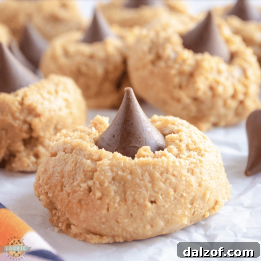 Irresistible Peanut Butter Cookies 5 Amazing No-Bake Peanut Butter Blossoms made with only 5 ingredients, perfect for chocolate peanut butter lovers.