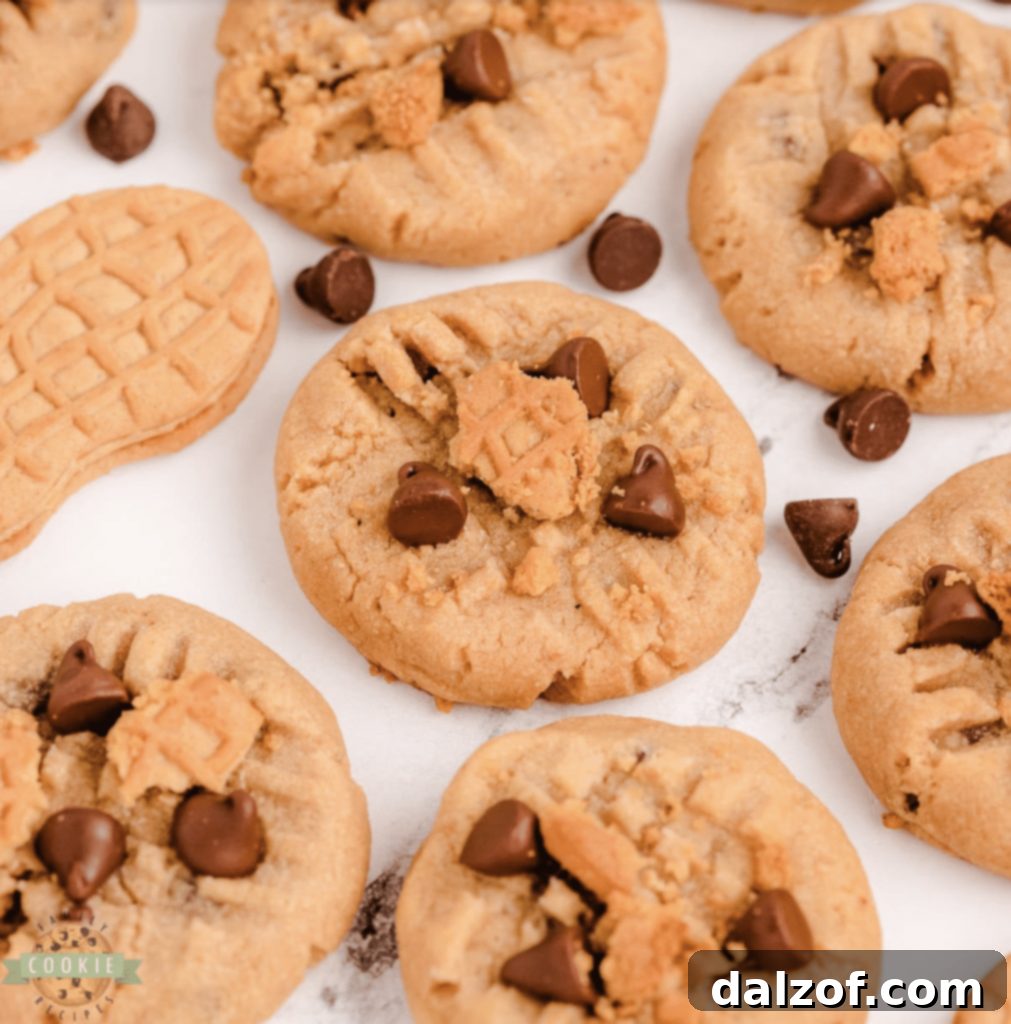 Irresistible Peanut Butter Cookies 6 Nutter Butter Chocolate Chip Peanut Butter Cookies featuring the best peanut butter and chocolate combination, intensified with crushed Nutter Butter cookies.