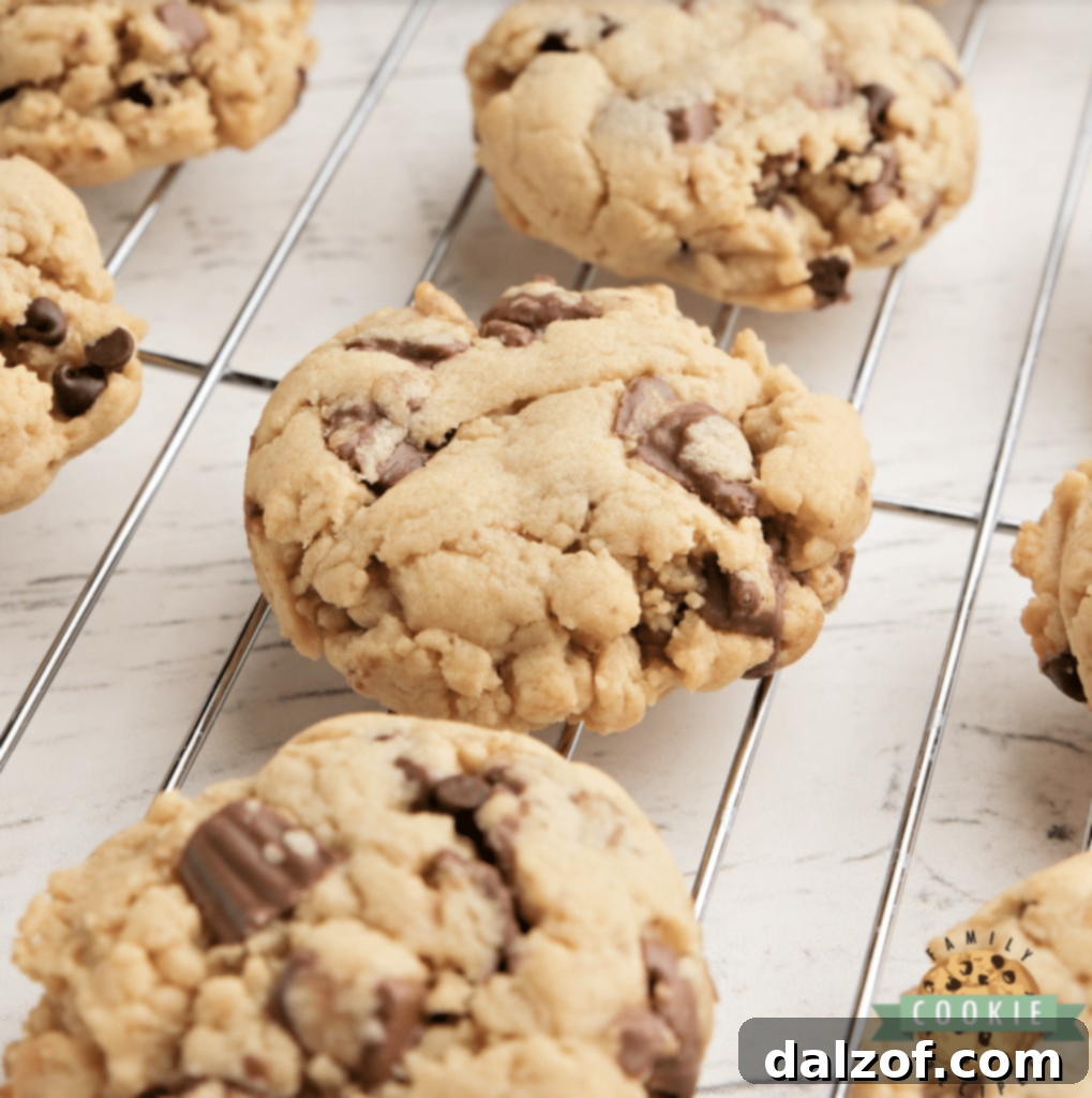 Irresistible Peanut Butter Cookies 9 Reese's Peanut Butter Banana Cookies made with Reese's peanut butter cups, chocolate chips, peanut butter, and a hint of banana pudding mix for an amazing flavor combination.