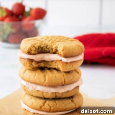 Peanut Butter and Jelly Sandwich Cookies