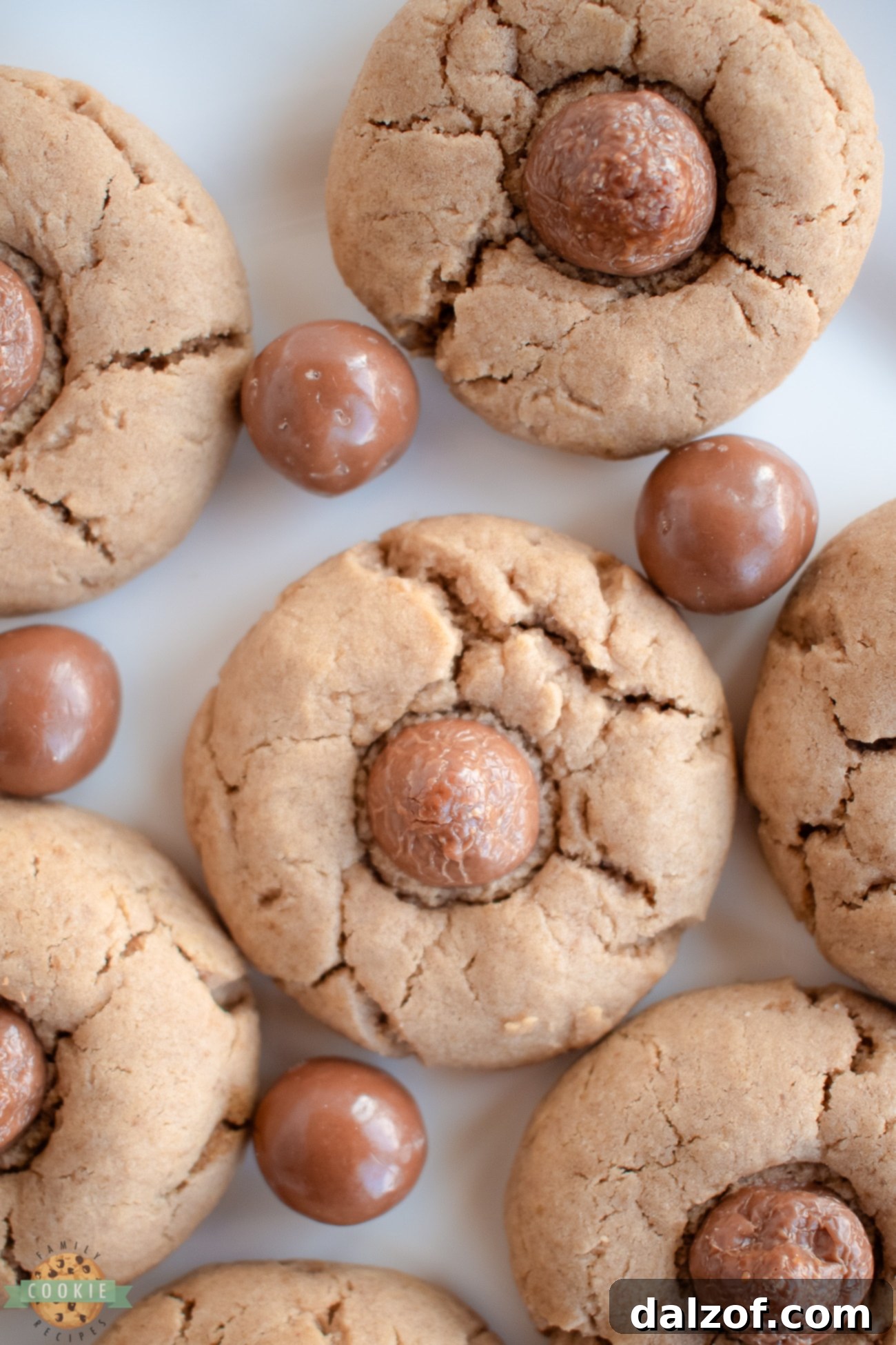 Chewy Chocolate Malt Cookies topped with a crunchy Whopper candy, a delightful homemade treat