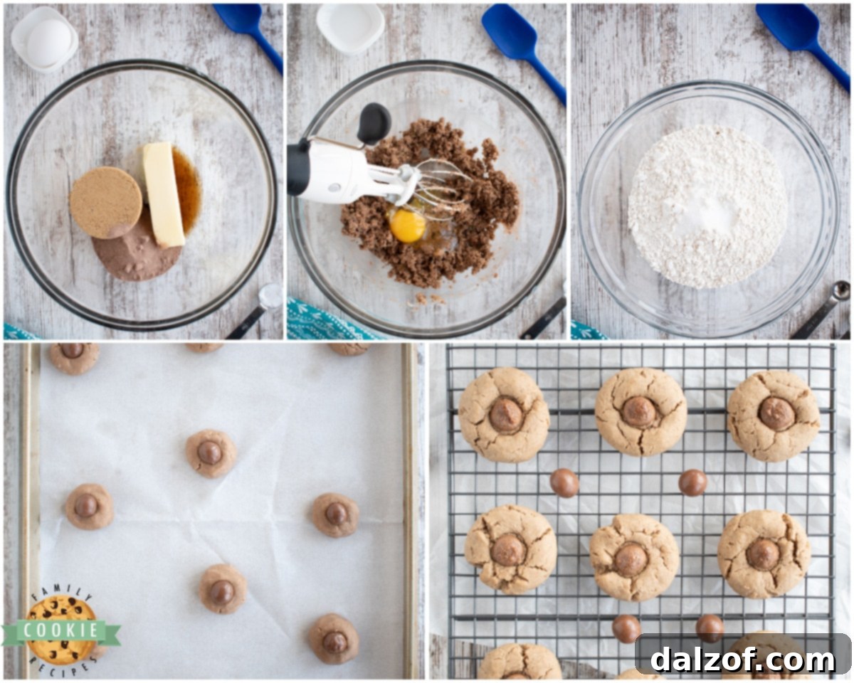 Step-by-step guide on how to make delicious chocolate malt Whopper cookies