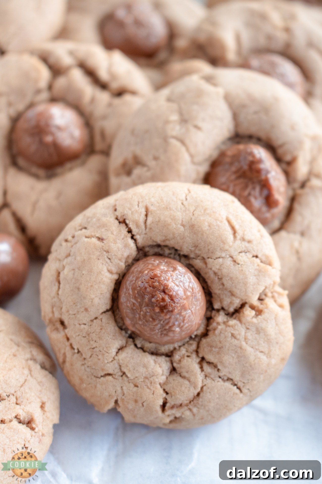 Delicious chocolate whopper cookies with malt powder in the batter ready to be baked