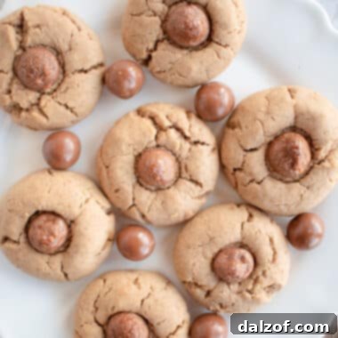 Chocolate Whopper Cookies made with chocolate malt powder