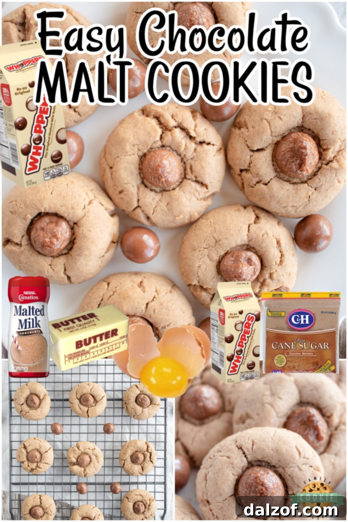 A collage of delicious chewy chocolate malt cookies, highlighting their ingredients and Whopper topping