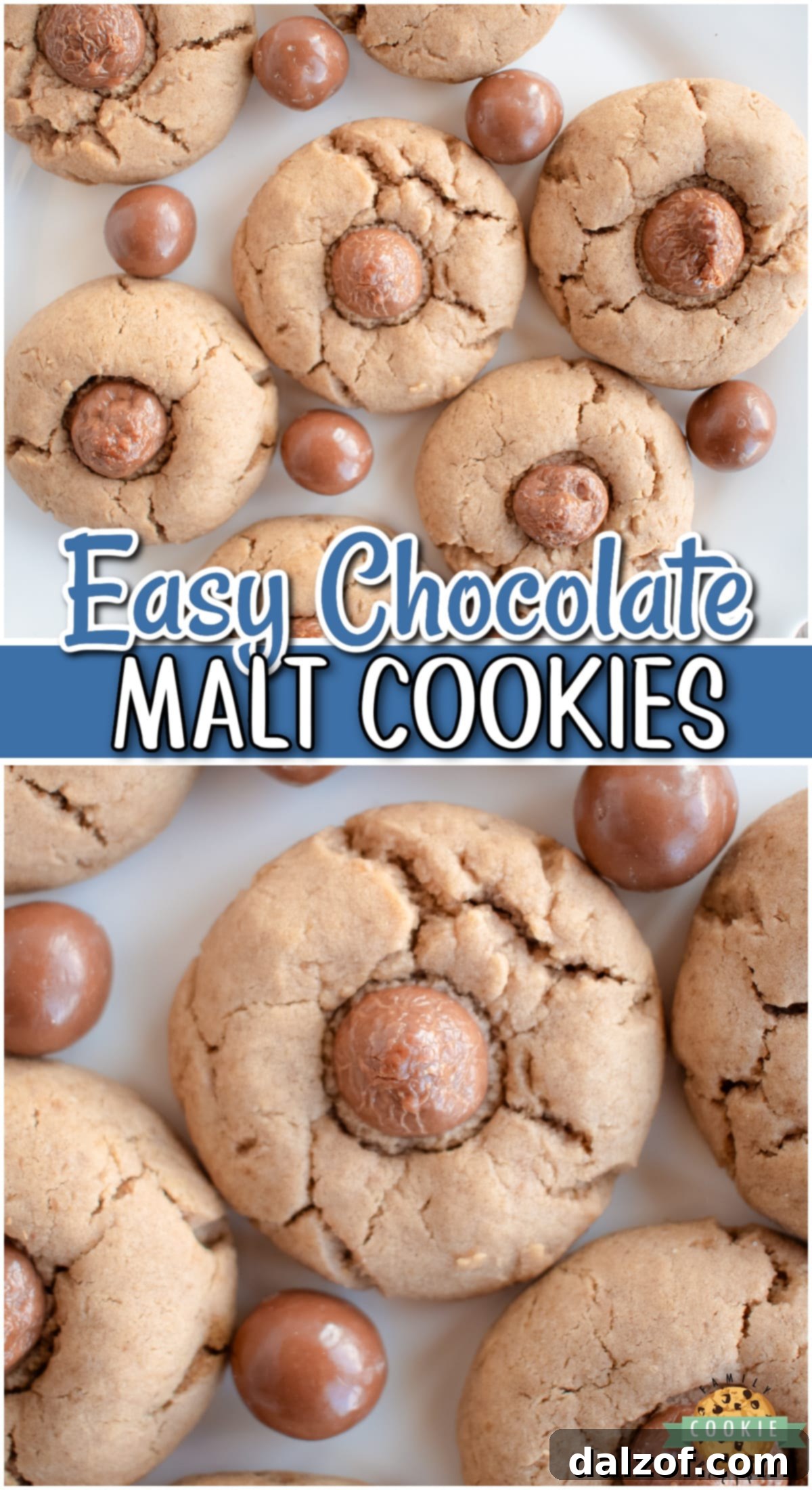 A close-up image of Chewy Chocolate Malt cookies, showcasing their inviting texture and the Whopper candy topping