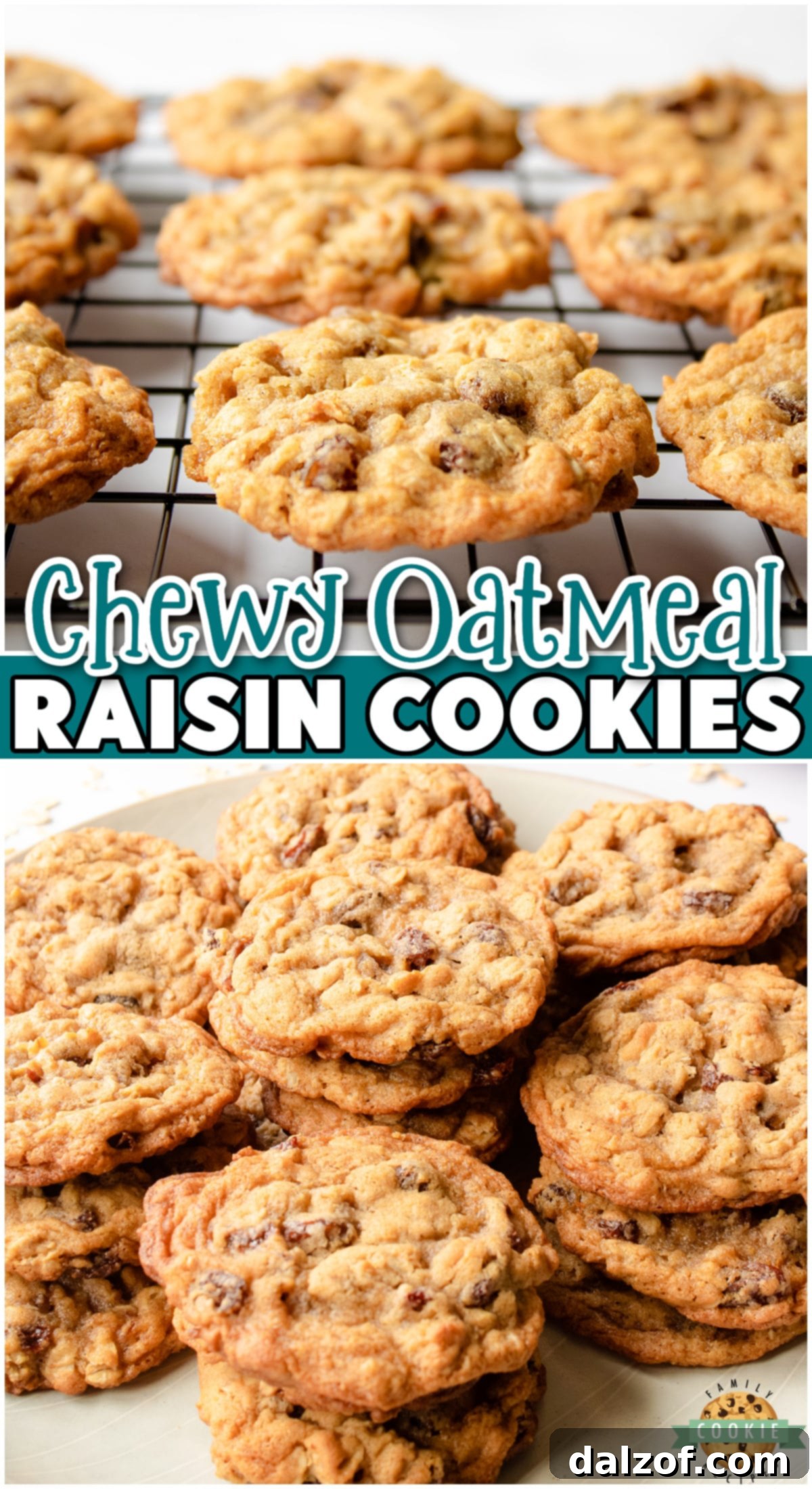 Chewy Oatmeal Raisin Cookies made with classic ingredients for a buttery cookie spiced with cinnamon and dotted with plump raisins! 