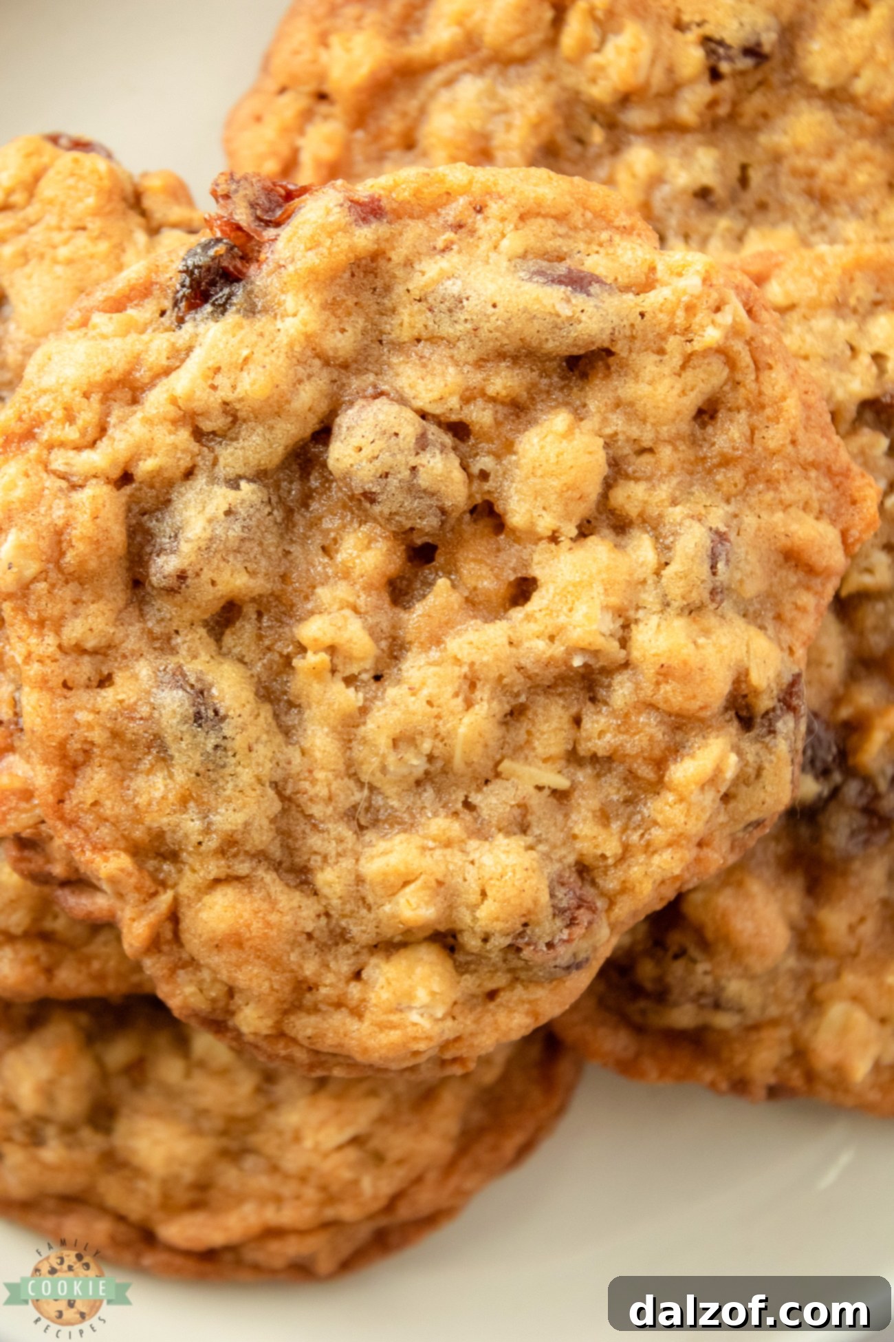 buttery oatmeal raisin cookies