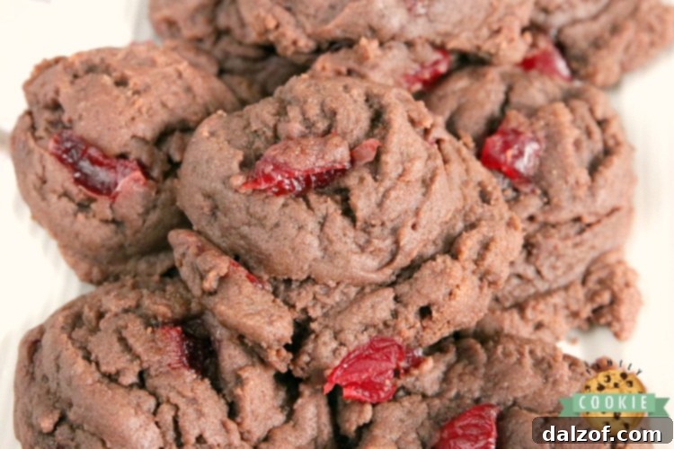 Chewy Cherry Chocolate Cookies, a delightful treat made with a special chocolate pudding mix for ultimate flavor and perfect consistency.