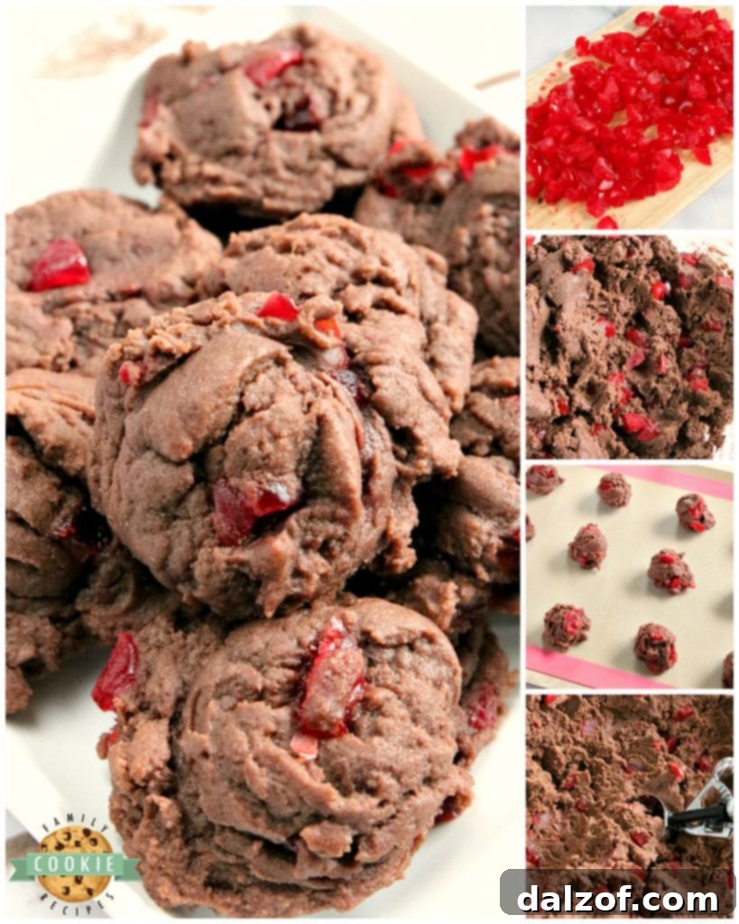 An array of delicious Cherry Chocolate Cookies, perfectly baked and ready to be enjoyed, showcasing their rich color and inviting texture.
