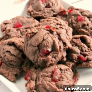 Cherry Chocolate Cookies