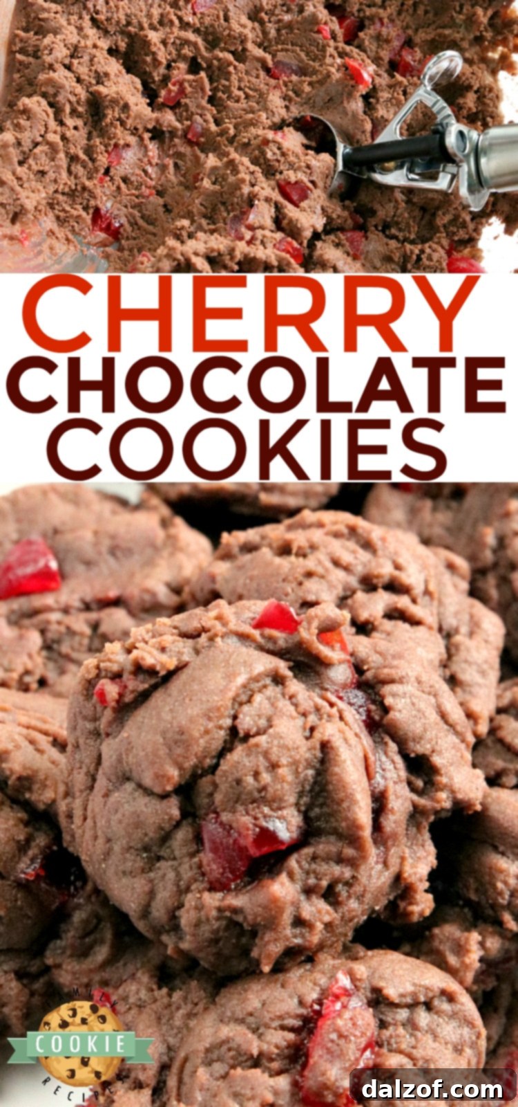 A large batch of freshly baked Cherry Chocolate Cookies, showcasing their appealing golden-brown edges and soft centers, ready for sharing and enjoyment.