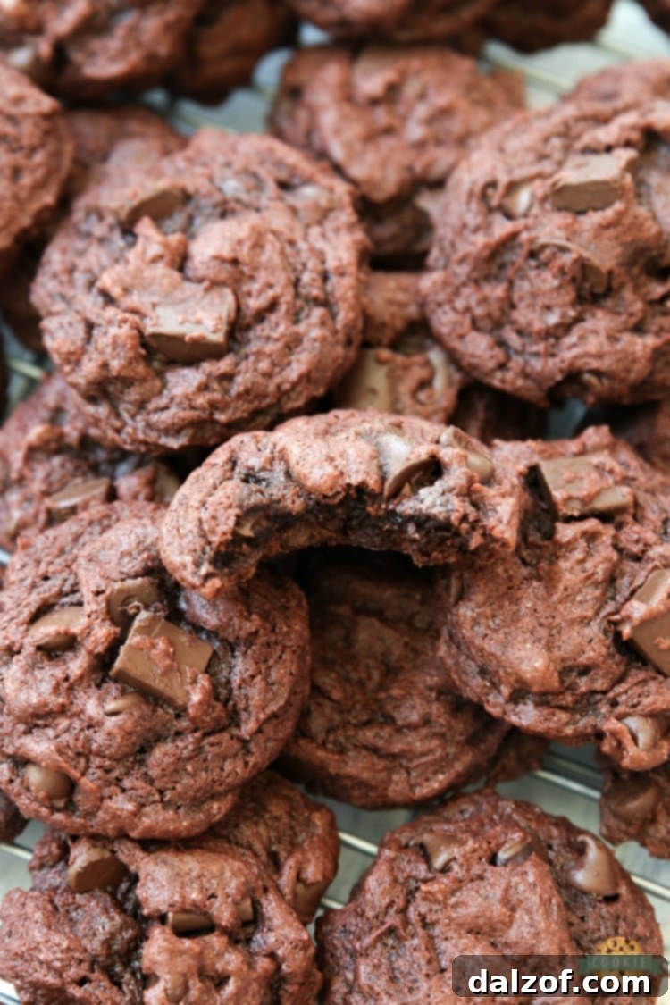Double Chocolate Pudding Cookies – amazingly soft, chewy, and bursting with rich chocolate flavor, made with a secret ingredient: chocolate pudding mix. A must-try recipe for chocolate lovers!