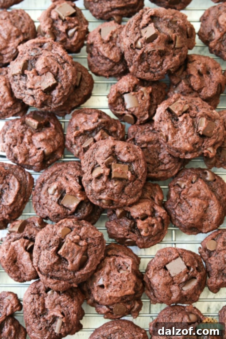 A close-up of a double chocolate pudding cookie, showcasing its soft interior and melted chocolate chips.