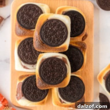 Plateful of delicious Oreo S'mores, ready to eat