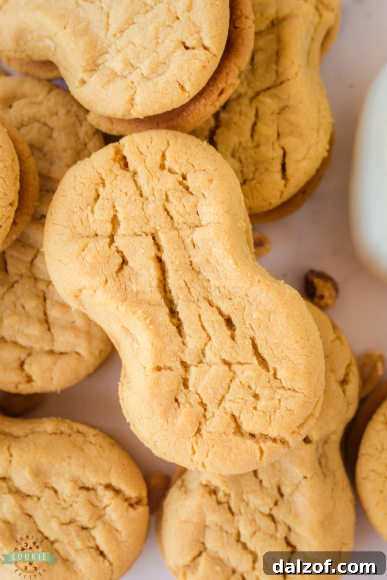 homemade peanut butter nutter butters