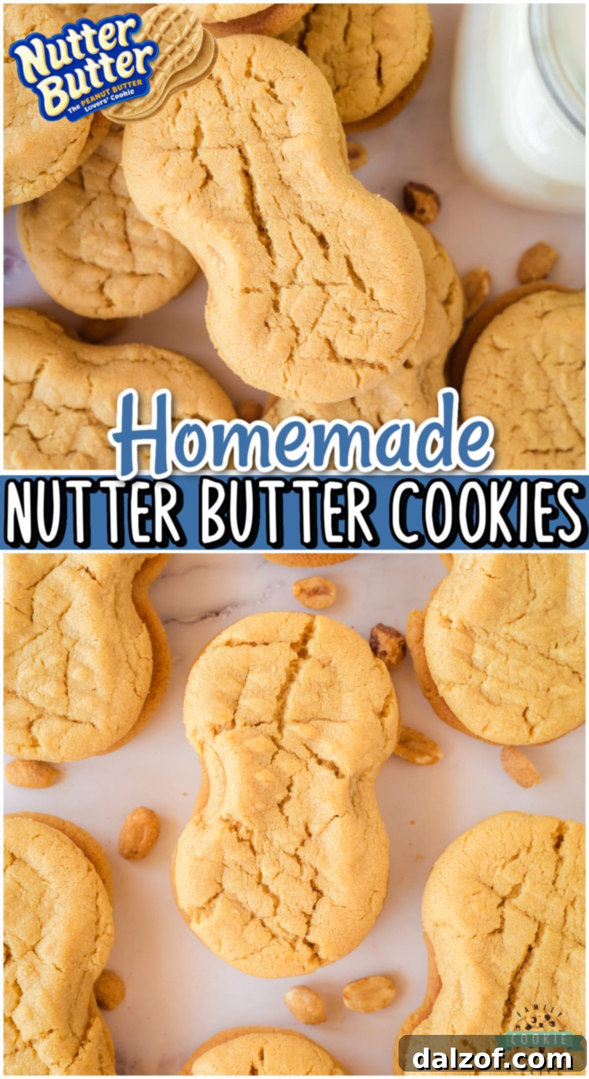Homemade Nutter Butters are soft, chewy cookies that are so much better than the store-bought! Sweet & packed with great flavor, these copycat peanut butter cookies are a hit! 