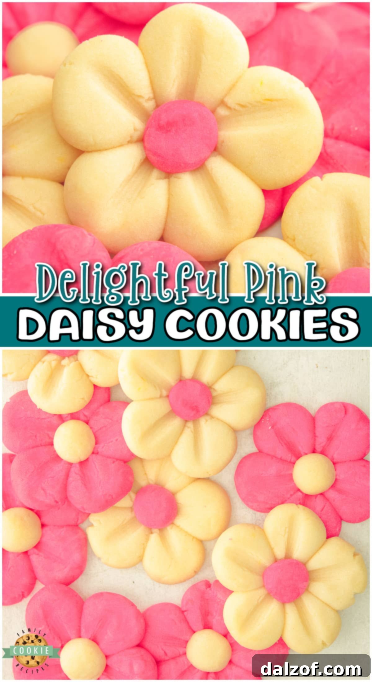 Pink Daisy Cookies are made from a buttery vanilla dough formed to look like pretty blooming flower petals perfect for parties! 
