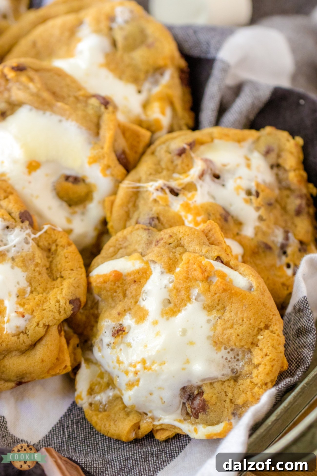 easy 4 ingredient s'mores cookies