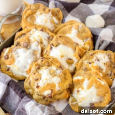 easy 4 ingredient s'mores cookies