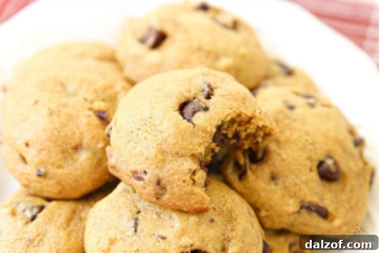 Deliciously soft and chewy Pumpkin Chocolate Chip Cookies, fresh from the oven, offering a taste of autumn with every bite. The perfect fall dessert.