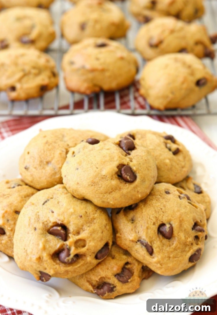 Close-up of fluffy Pumpkin Chocolate Chip Cookies with melted chocolate, ideal for a comforting fall snack or dessert.