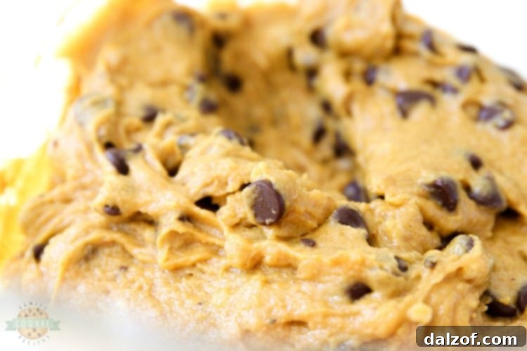 Mixing pumpkin, sugar, oil, and egg in a bowl, the first step to creamy cookie dough.