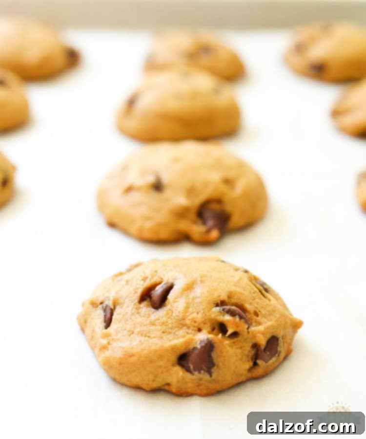 Freshly baked pumpkin chocolate chip cookies cooling on a rack, maintaining their soft and chewy texture.