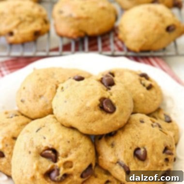 Best Pumpkin Chocolate Chip Cookies
