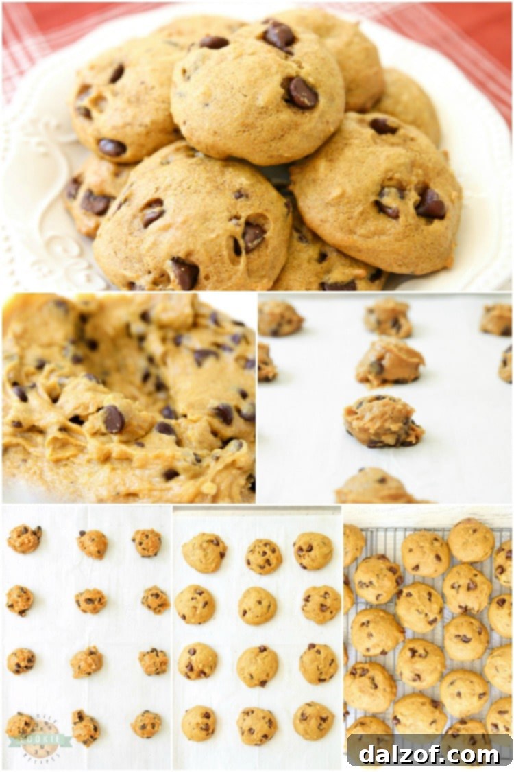 A collage showcasing different angles of freshly baked pumpkin chocolate chip cookies, highlighting their soft texture and golden-brown edges.