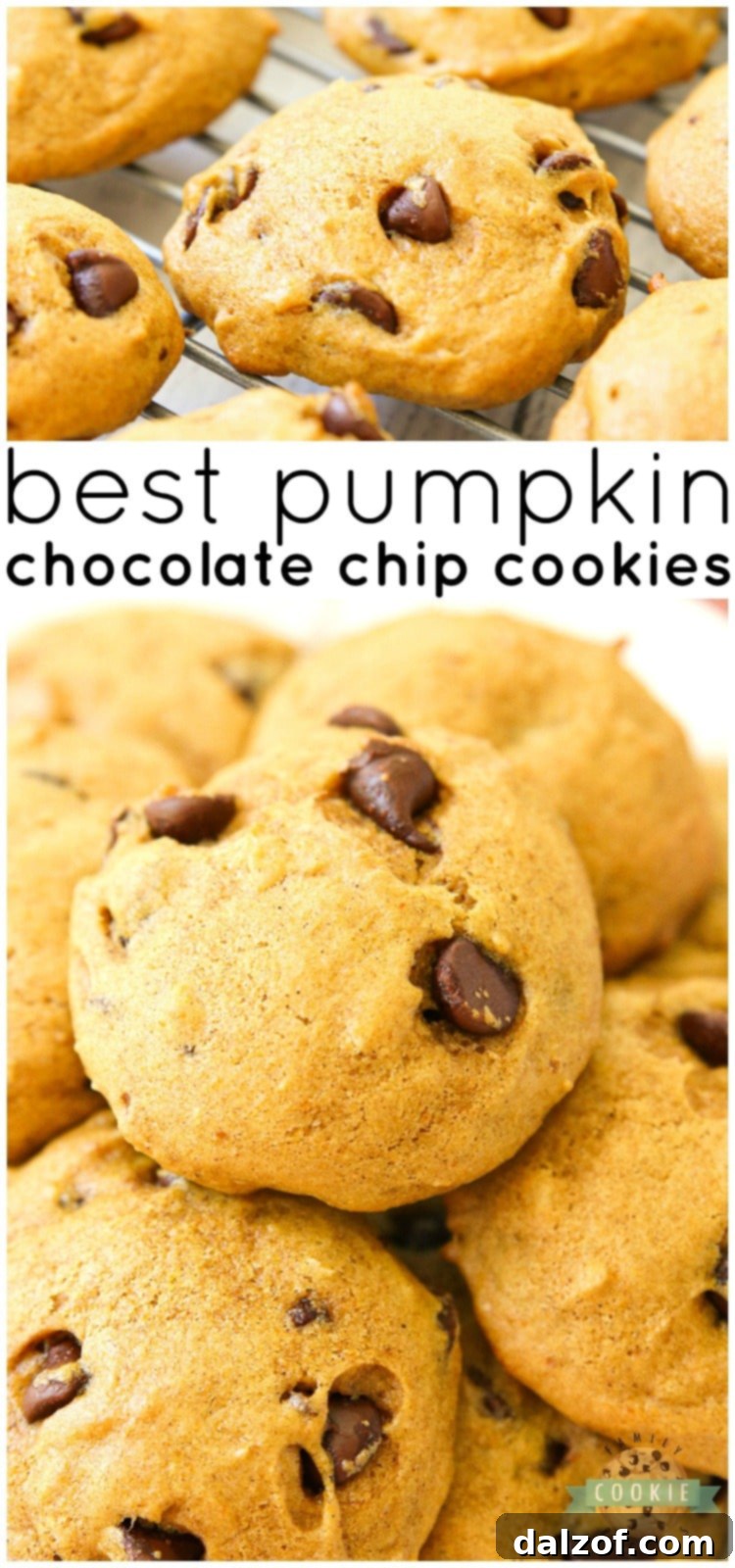 A vibrant close-up of soft and chewy Pumpkin Chocolate Chip Cookies, inviting bakers to try this perfect autumn recipe.