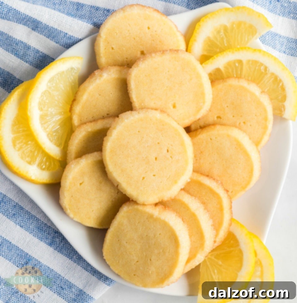 Lemon Slice & Bake Cookies