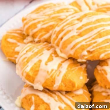 Orange Pumpkin Cookies