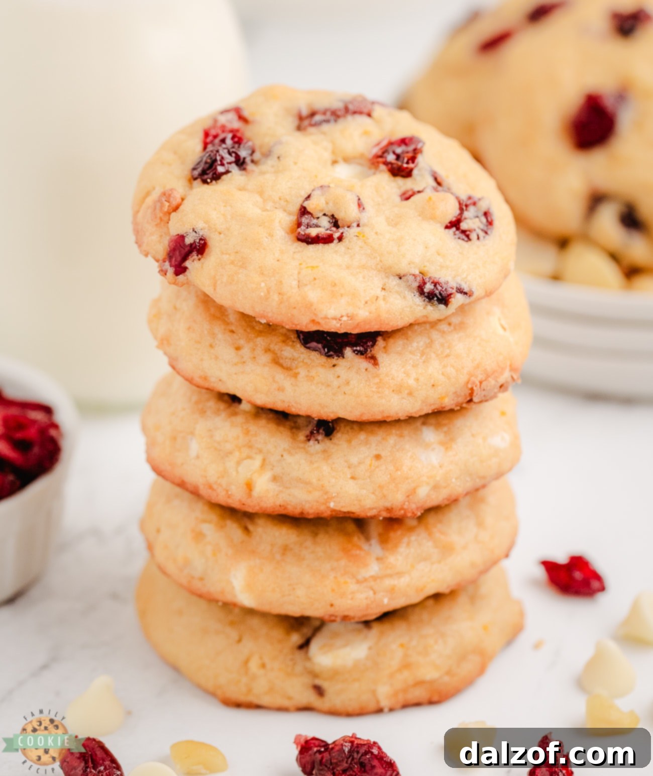 stack of cranberry macadamia nut cookies