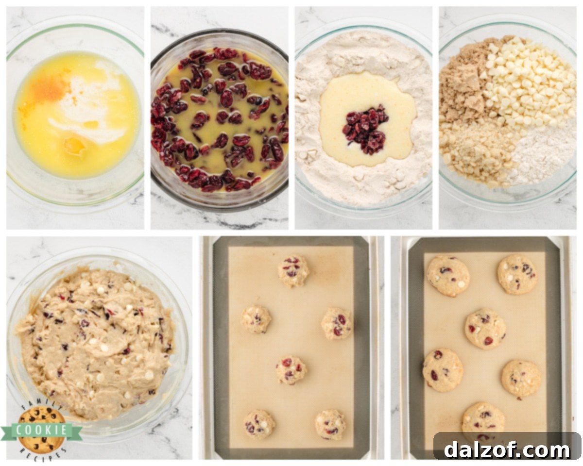 how to make cranberry macadamia cookies