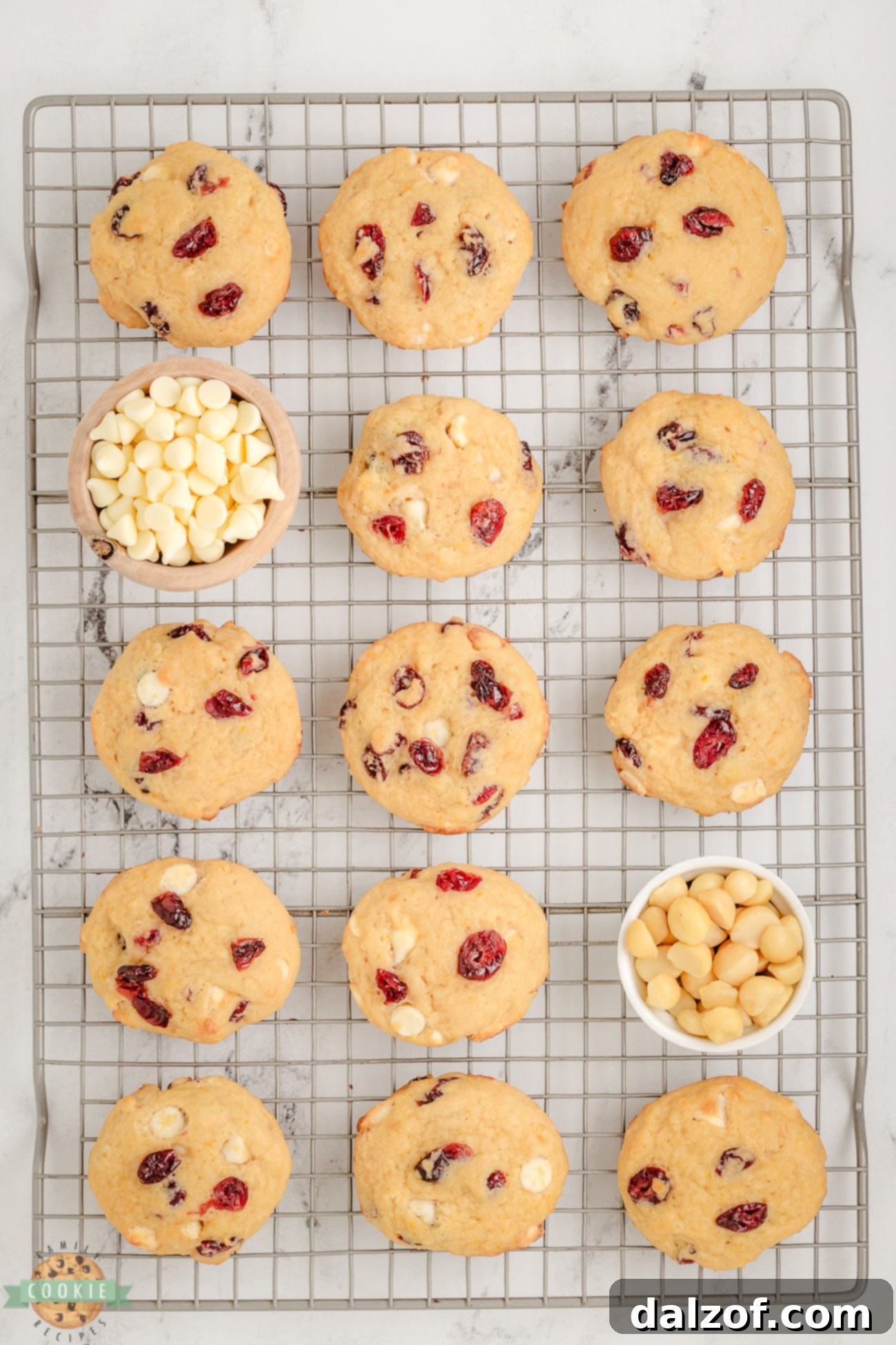 dried cranberry cookies on a cooling rack