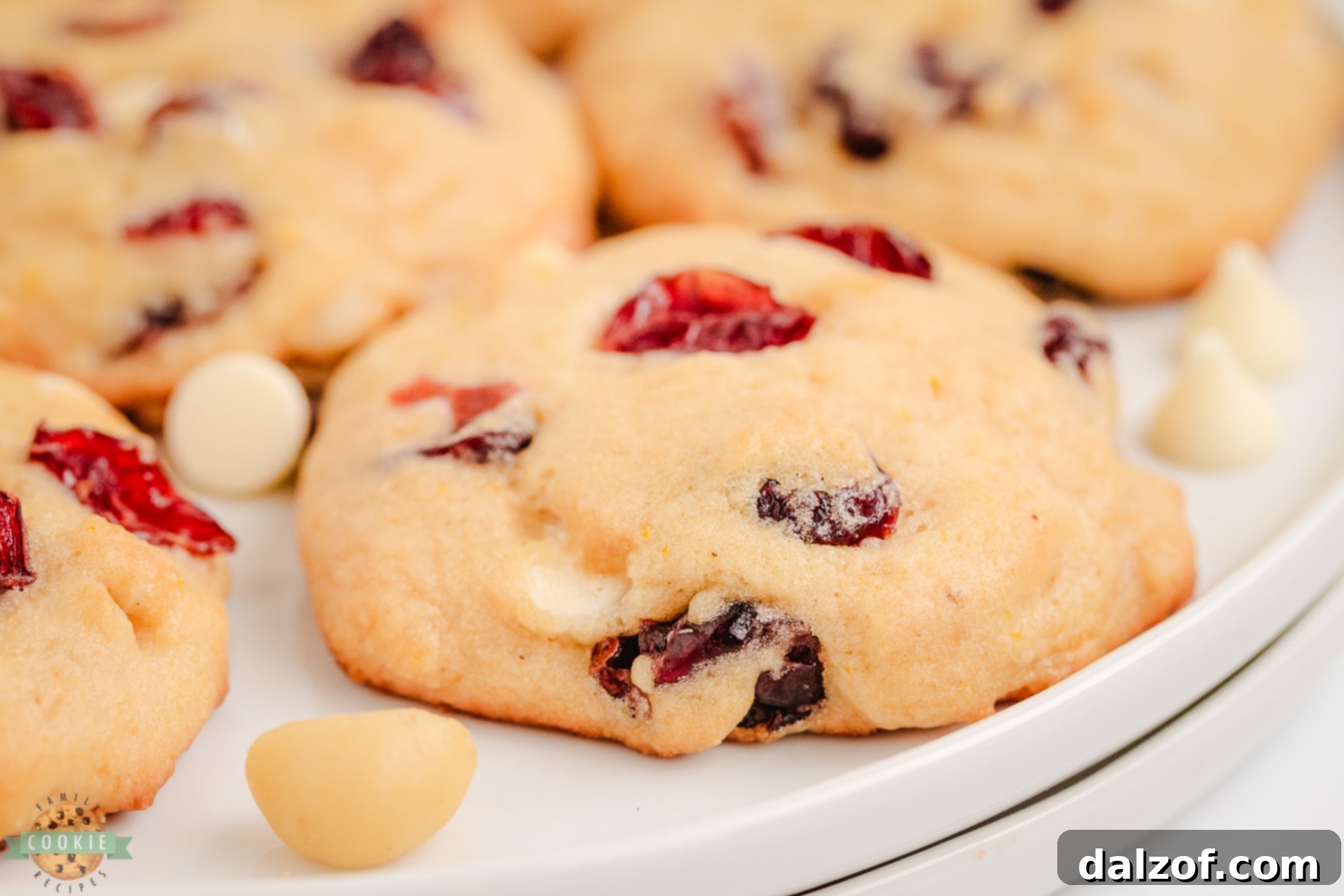 cranberry cookies with nuts