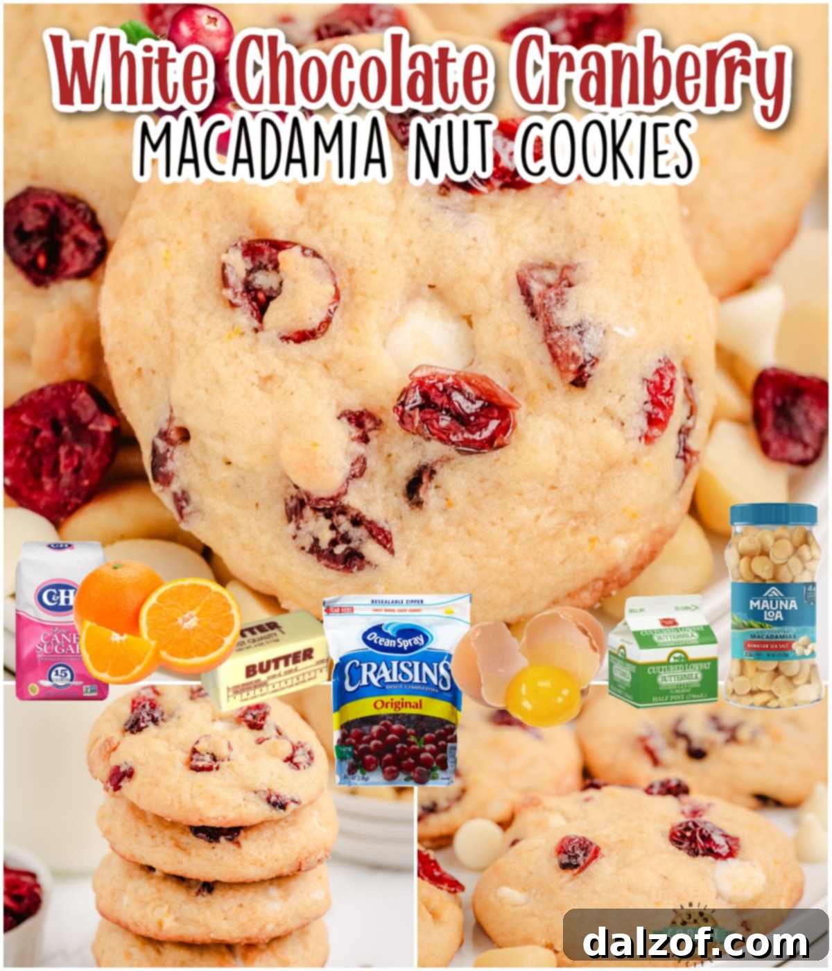 Cranberry Macadamia Nut Cookies is a delightful, festive cookie that combines tart cranberries, sweet white chocolate & crunchy macadamia nuts!