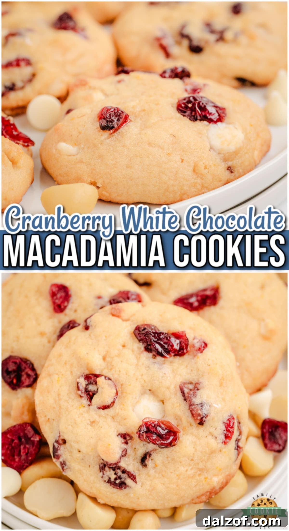 Cranberry Macadamia Nut Cookies is a delightful, festive cookie that combines tart cranberries, white chocolate & crunchy macadamia nuts!