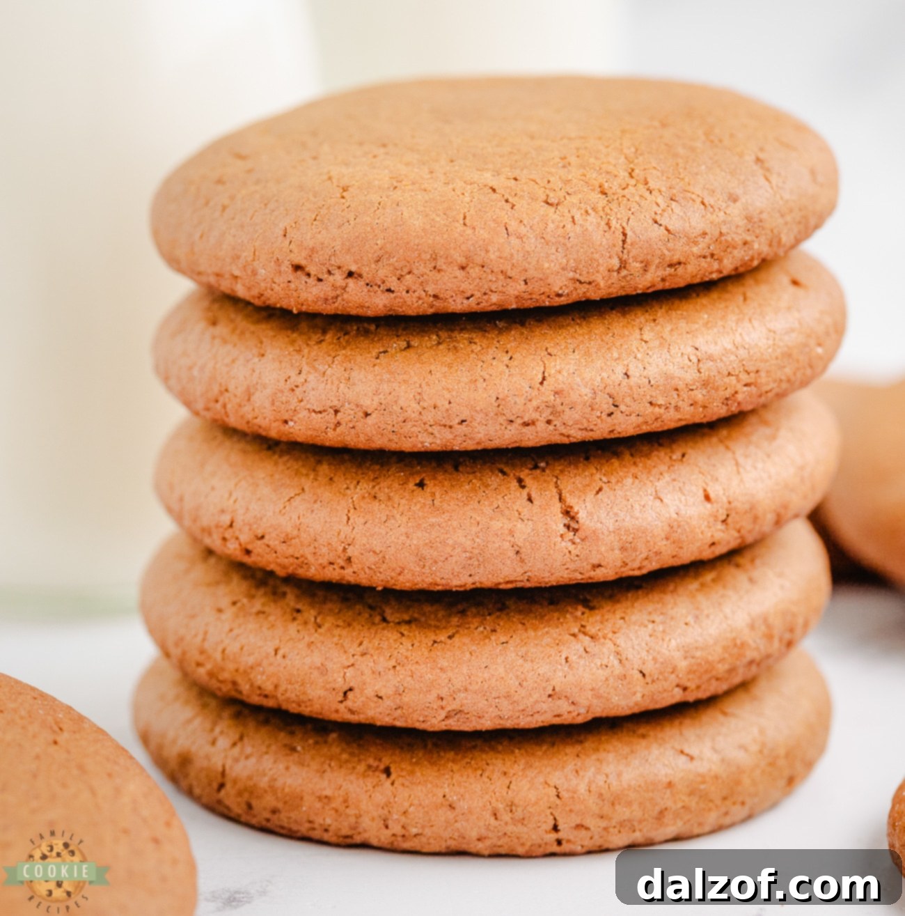 soft chewy molasses cookies