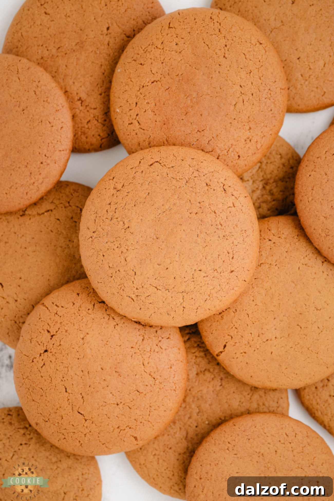 molasses cookies on a tray