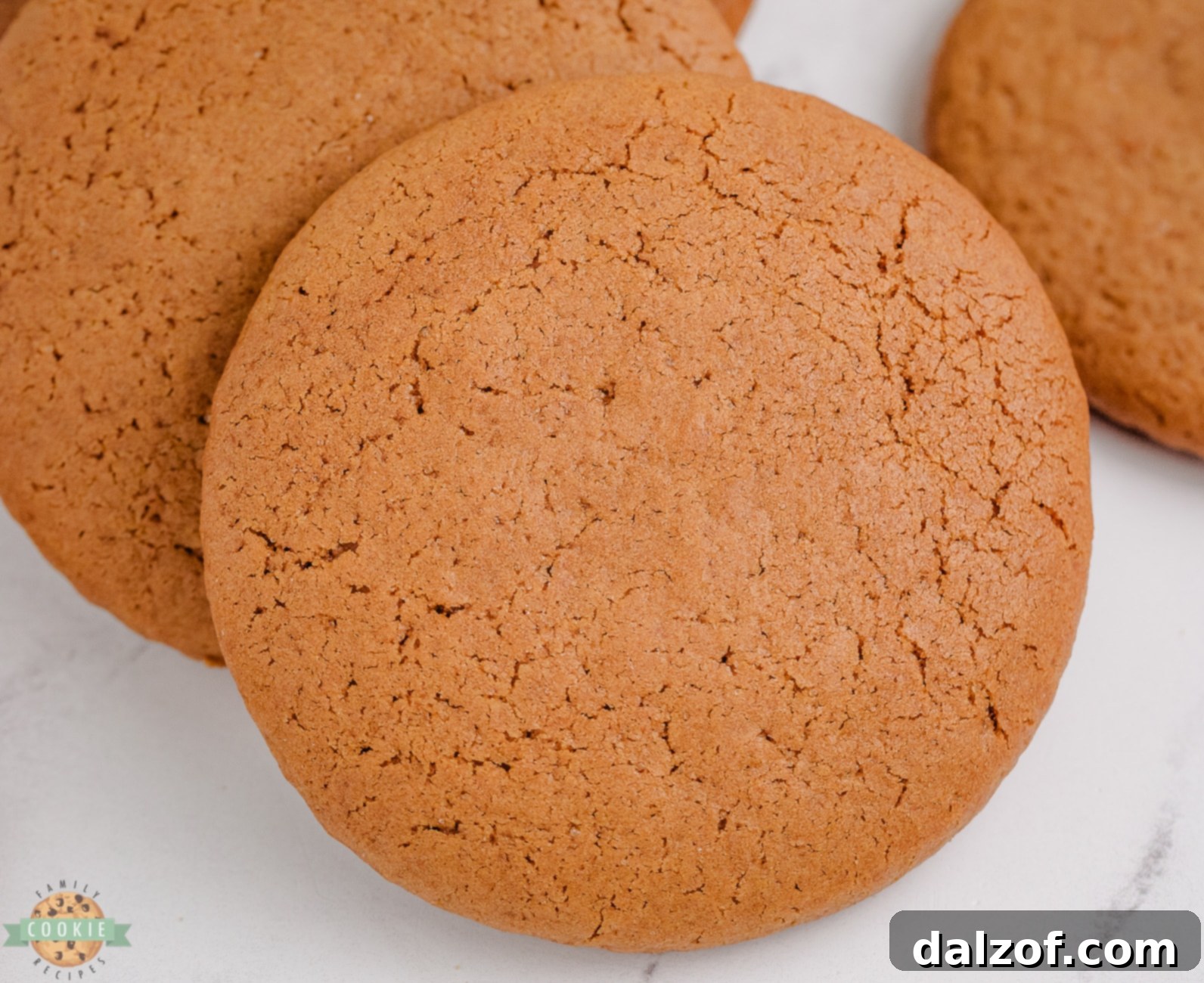 chewy molasses cookie