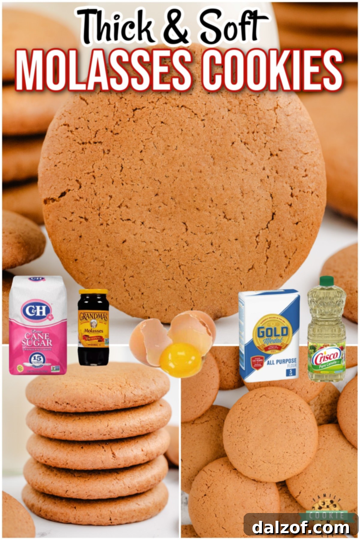 Homemade Molasses Cookies have incredible flavor & a soft, chewy texture! Simple soft molasses cookies let the molasses flavor shine through; everyone loves them!