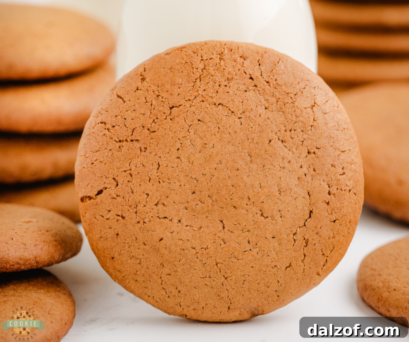 molasses cookie with milk