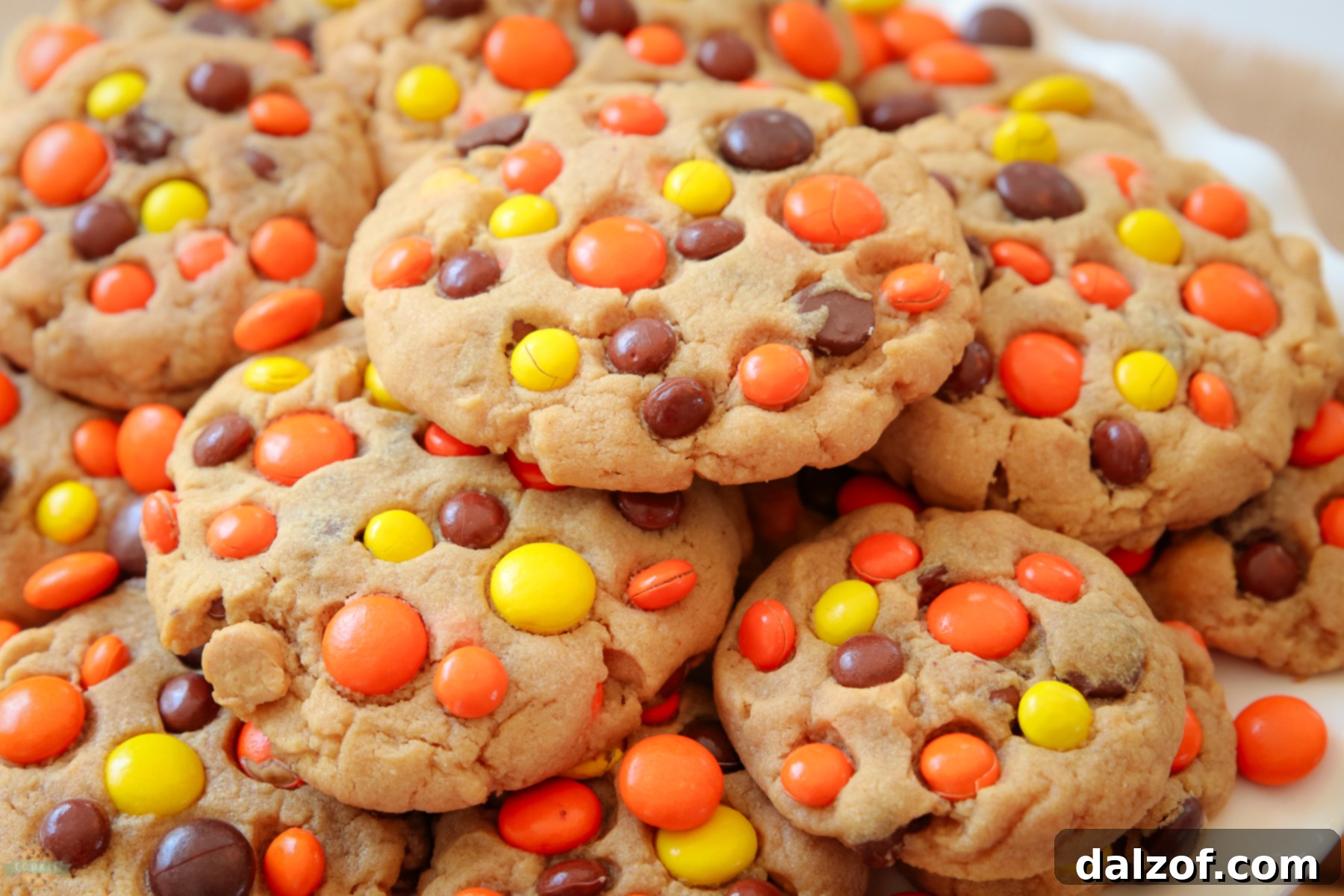 The Best Reese's Peanut Butter Cookies 2 Freshly baked Reese's Peanut Butter Cookies adorned with colorful Reese's candies on a cooling rack
