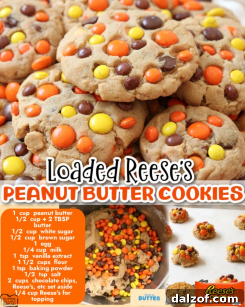 The Best Reese's Peanut Butter Cookies 5 Collage of Reese's Peanut Butter Cookies showing various stages and final product