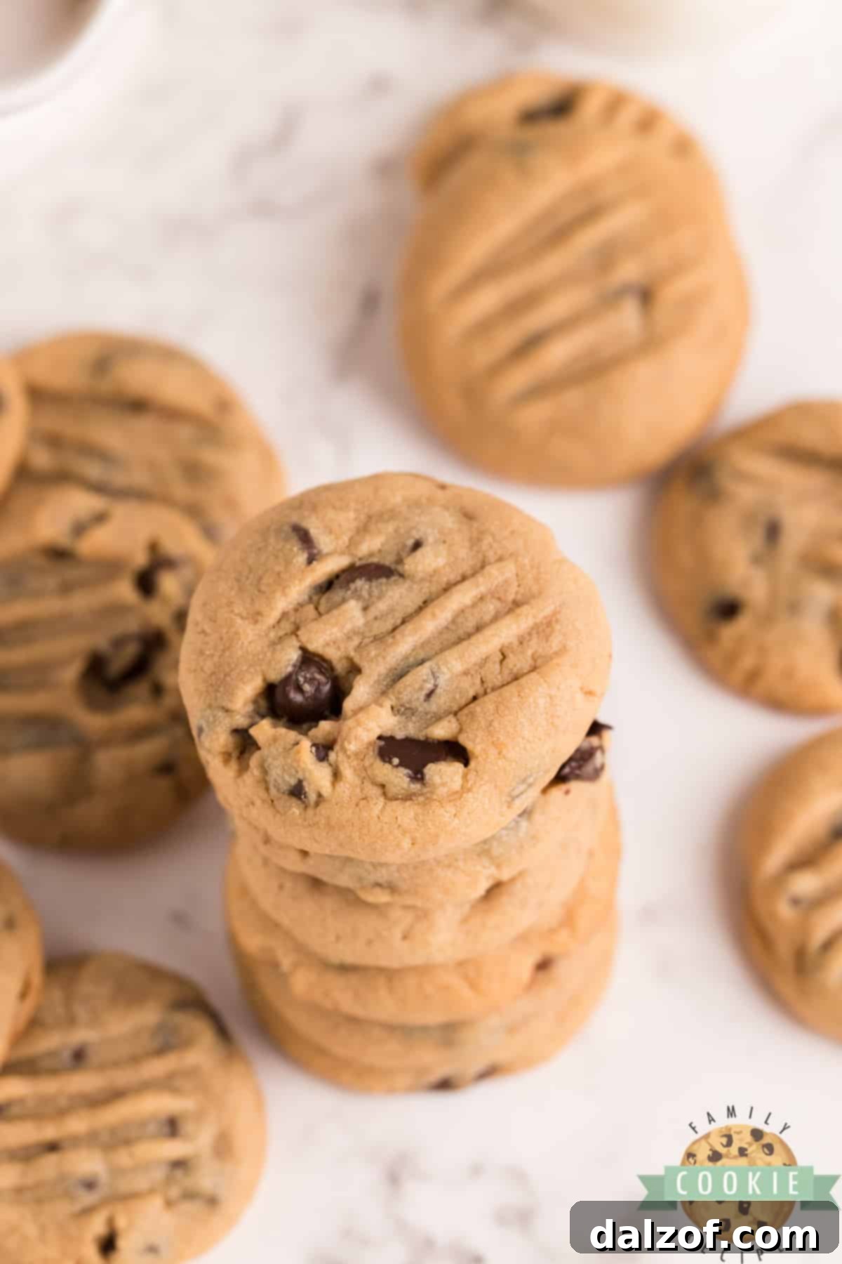 The BEST Peanut Butter Chocolate Chip Cookies are soft and chewy, and they turn out perfect every single time! Delicious peanut butter cookie recipe that is loaded with chocolate chips!