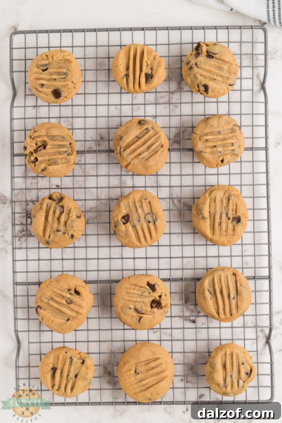 Cookies cooling on a wire rack after baking.