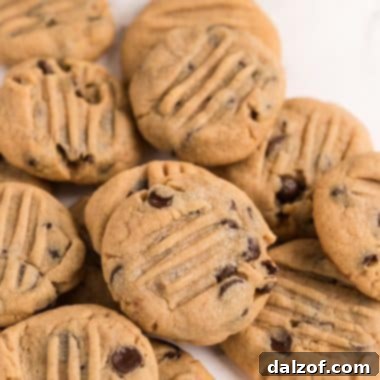 The Best Chocolate Chip Peanut Butter Cookies